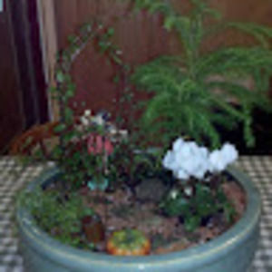 Meet your Posher, Debra